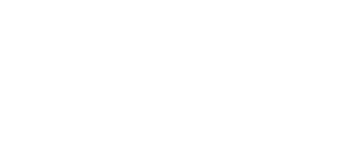 Hamieverse Impact Programme
